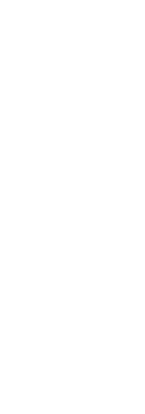 Vocal Mentorship